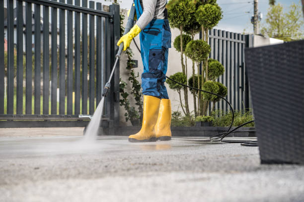 Best Exterior Home Cleaning  in Kurtistown, HI