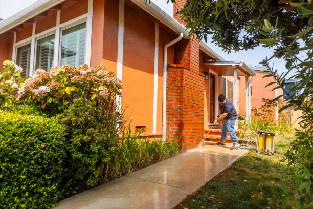 Best Pressure Washing Near Me  in Kurtistown, HI