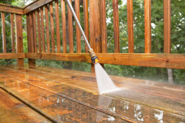 Best Affordable Power Washing  in Kurtistown, HI