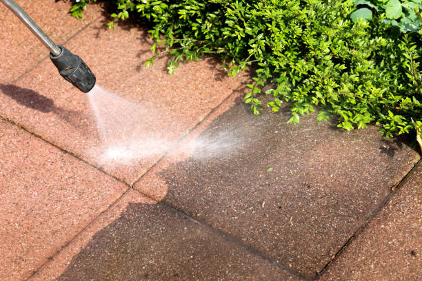 Best Residential Pressure Washing Services  in Kurtistown, HI